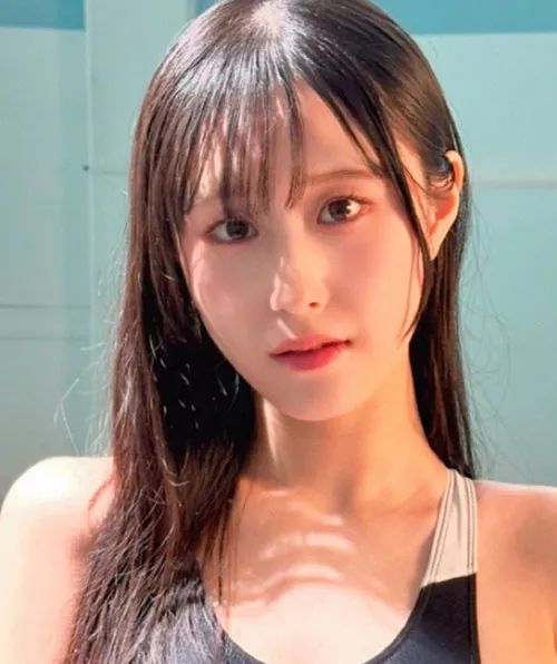 白鸟旅馆 文艺高清电影在线观看